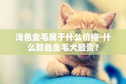 淺色金毛屬于什么價格-什么顏色金毛犬最貴？
