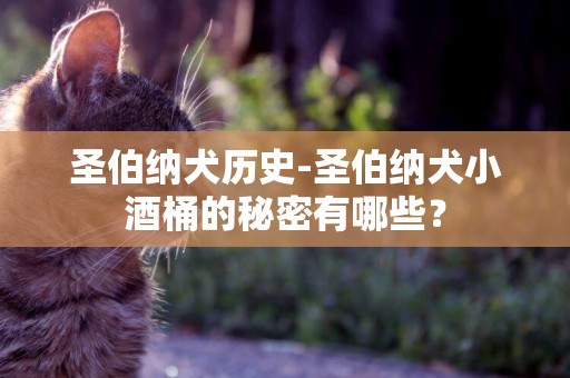 圣伯納犬歷史-圣伯納犬小酒桶的秘密有哪些？