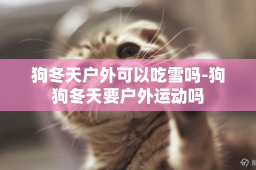 狗冬天戶外可以吃雪嗎-狗狗冬天要戶外運動嗎