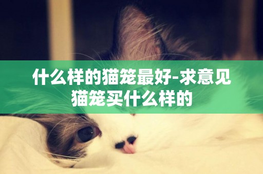 什么樣的貓籠最好-求意見貓籠買什么樣的