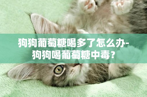 狗狗葡萄糖喝多了怎么辦-狗狗喝葡萄糖中毒？