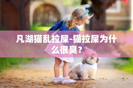 凡湖貓亂拉屎-貓拉屎為什么很臭？