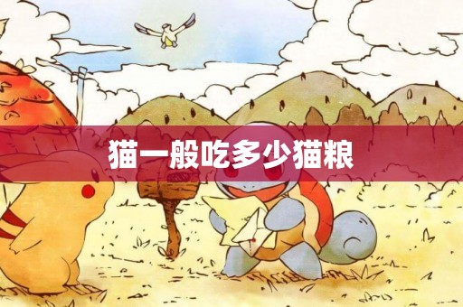 貓一般吃多少貓糧