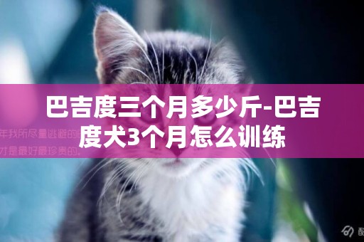 巴吉度三個月多少斤-巴吉度犬3個月怎么訓練
