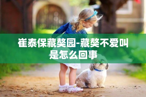 崔泰保藏獒園-藏獒不愛叫是怎么回事