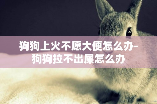 狗狗上火不愿大便怎么辦-狗狗拉不出屎怎么辦