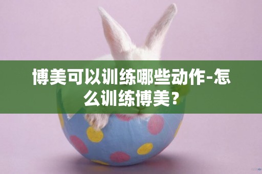 博美可以訓練哪些動作-怎么訓練博美？