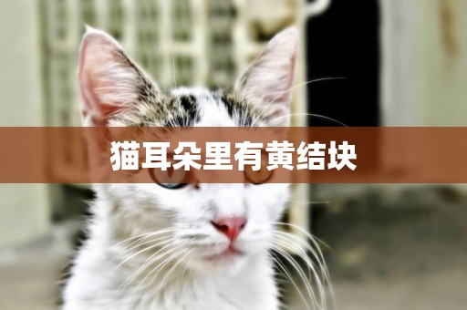 貓耳朵里有黃結塊