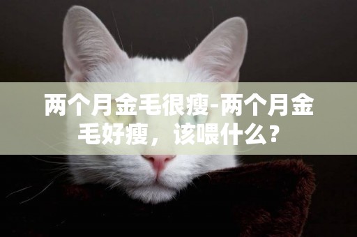 兩個月金毛很瘦-兩個月金毛好瘦，該喂什么？