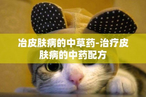 冶皮膚病的中草藥-治療皮膚病的中藥配方