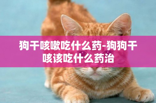 狗干咳嗽吃什么藥-狗狗干咳該吃什么藥治