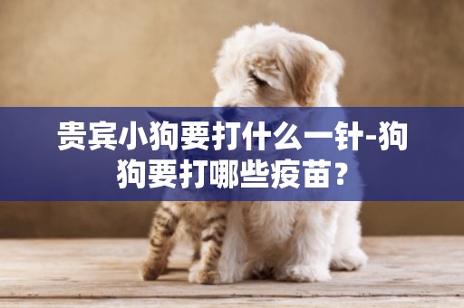 貴賓小狗要打什么一針-狗狗要打哪些疫苗？