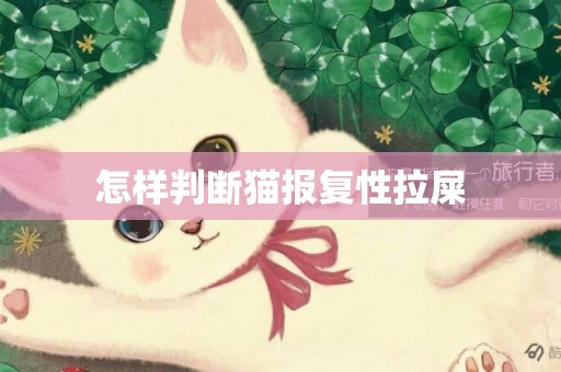 怎樣判斷貓報復性拉屎