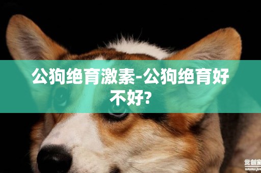 公狗絕育激素-公狗絕育好不好?