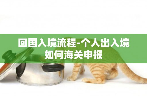 回國入境流程-個人出入境如何海關申報