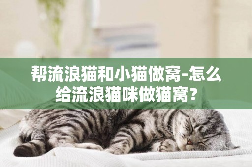 幫流浪貓和小貓做窩-怎么給流浪貓咪做貓窩？