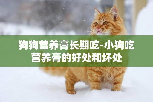 狗狗營養膏長期吃-小狗吃營養膏的好處和壞處