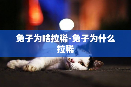 兔子為啥拉稀-兔子為什么拉稀