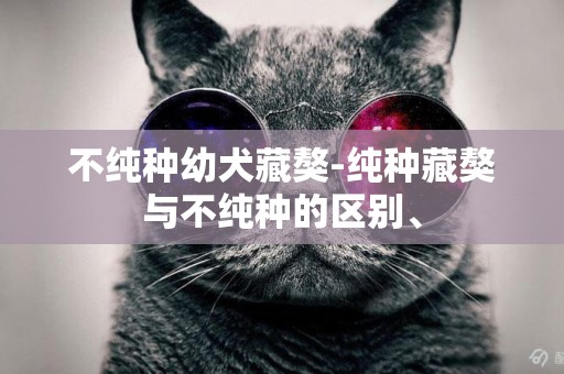 不純種幼犬藏獒-純種藏獒與不純種的區別、