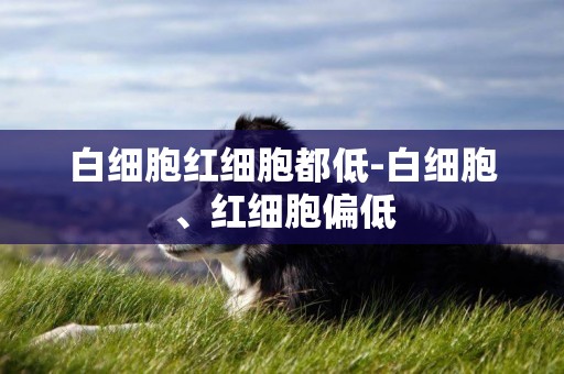 白細胞紅細胞都低-白細胞、紅細胞偏低