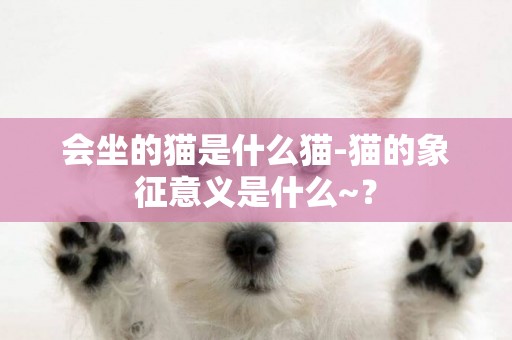 會坐的貓是什么貓-貓的象征意義是什么~？