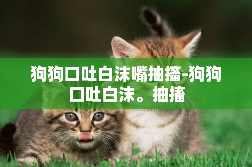 狗狗口吐白沫嘴抽搐-狗狗口吐白沫。抽搐
