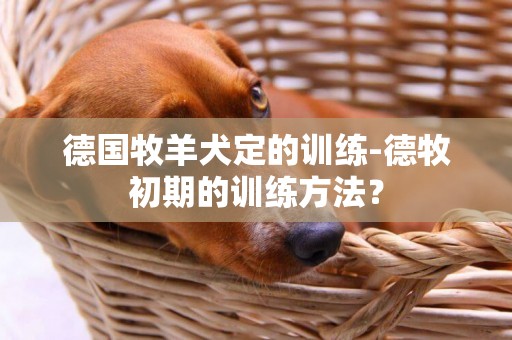 德國牧羊犬定的訓練-德牧初期的訓練方法？
