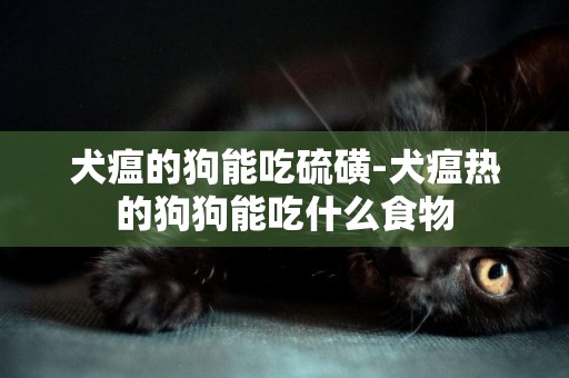 犬瘟的狗能吃硫磺-犬瘟熱的狗狗能吃什么食物