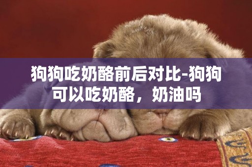 狗狗吃奶酪前后對比-狗狗可以吃奶酪，奶油嗎
