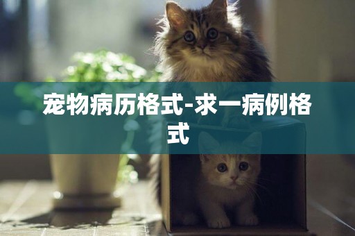 寵物病歷格式-求一病例格式