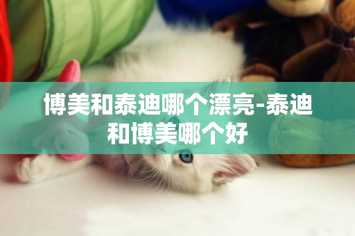 博美和泰迪哪個漂亮-泰迪和博美哪個好