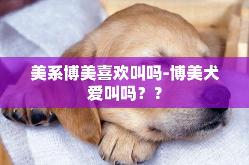 美系博美喜歡叫嗎-博美犬愛叫嗎？？