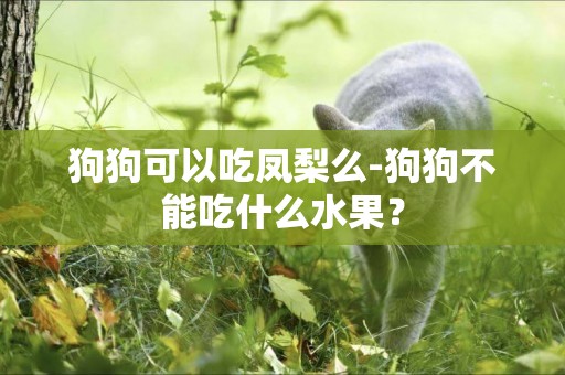 狗狗可以吃鳳梨么-狗狗不能吃什么水果？