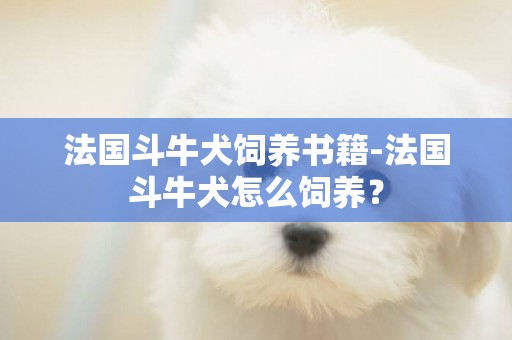 法國斗牛犬飼養書籍-法國斗牛犬怎么飼養？