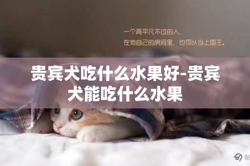 貴賓犬吃什么水果好-貴賓犬能吃什么水果