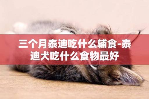 三個月泰迪吃什么輔食-泰迪犬吃什么食物最好