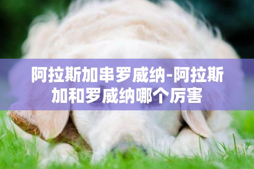 阿拉斯加串羅威納-阿拉斯加和羅威納哪個厲害
