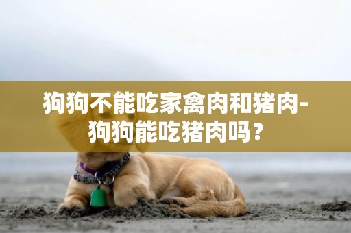 狗狗不能吃家禽肉和豬肉-狗狗能吃豬肉嗎？