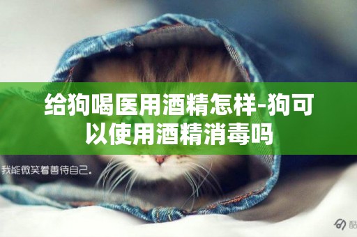 給狗喝醫用酒精怎樣-狗可以使用酒精消毒嗎