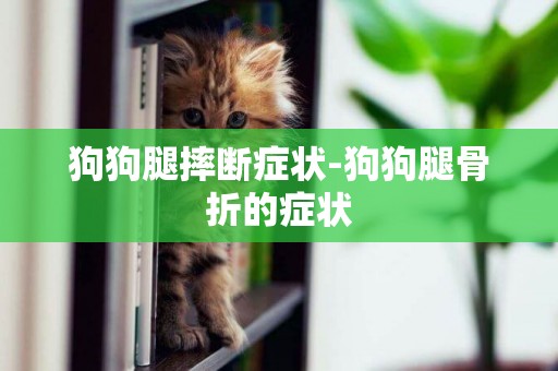 狗狗腿摔斷癥狀-狗狗腿骨折的癥狀