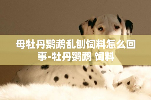 母牡丹鸚鵡亂刨飼料怎么回事-牡丹鸚鵡 飼料