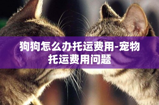 狗狗怎么辦托運費用-寵物托運費用問題