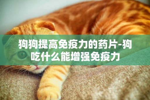 狗狗提高免疫力的藥片-狗吃什么能增強免疫力
