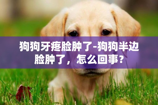 狗狗牙疼臉腫了-狗狗半邊臉腫了，怎么回事？