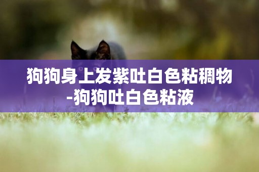 狗狗身上發紫吐白色粘稠物-狗狗吐白色粘液