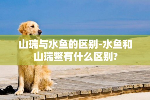 山瑞與水魚的區別-水魚和山瑞鱉有什么區別?