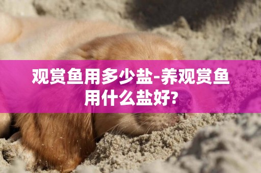 觀賞魚用多少鹽-養觀賞魚用什么鹽好?