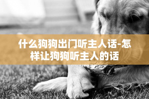 什么狗狗出門聽主人話-怎樣讓狗狗聽主人的話