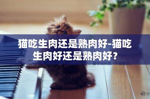 貓吃生肉還是熟肉好-貓吃生肉好還是熟肉好？