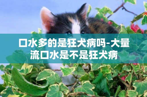 口水多的是狂犬病嗎-大量流口水是不是狂犬病